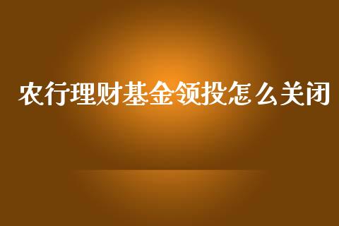 农行理财基金领投怎么关闭_https://www.apanben.com_财经资讯_第1张