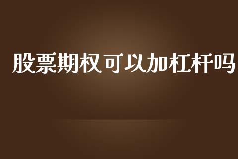 股票期权可以加杠杆吗_https://www.apanben.com_股市分析_第1张