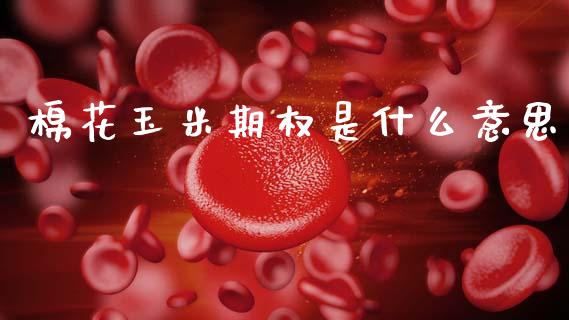 棉花玉米期权是什么意思_https://www.apanben.com_股市分析_第1张