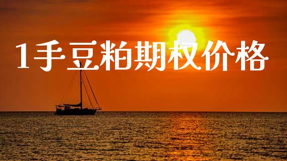 1手豆粕期权价格_https://www.apanben.com_财经资讯_第1张