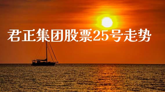 君正集团股票25号走势_https://www.apanben.com_股市分析_第1张