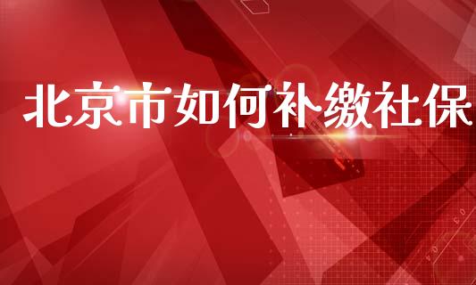 北京市如何补缴社保_https://www.apanben.com_国际财经_第1张