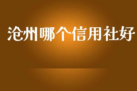 沧州哪个信用社好_https://www.apanben.com_在线喊单_第1张