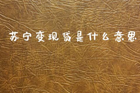 苏宁变现贷是什么意思_https://www.apanben.com_国际财经_第1张