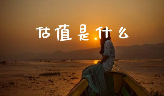 估值是什么_https://www.apanben.com_国际财经_第1张