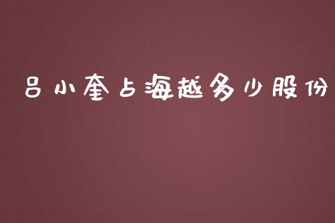 吕小奎占海越多少股份_https://www.apanben.com_期货学院_第1张