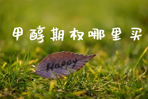 甲醇期权哪里买_https://www.apanben.com_股票怎么玩_第1张
