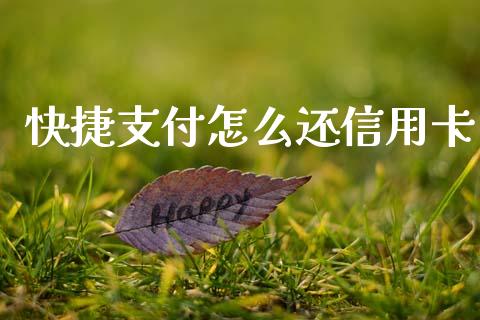 快捷支付怎么还信用卡_https://www.apanben.com_在线喊单_第1张