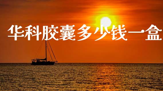 华科胶囊多少钱一盒_https://www.apanben.com_股市指导_第1张
