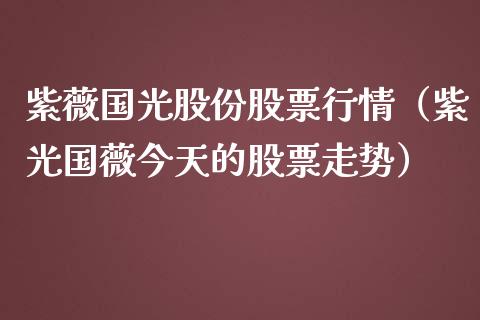 紫薇国光股份股票行情（紫光国薇今天的股票走势）_https://www.apanben.com_股市分析_第1张