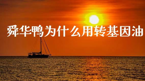舜华鸭为什么用转基因油_https://www.apanben.com_股市分析_第1张