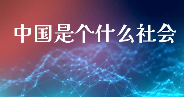 中国是个什么社会_https://www.apanben.com_财经资讯_第1张