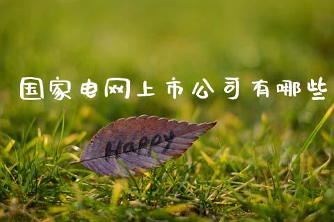 国家电网上市公司有哪些_https://www.apanben.com_期货学院_第1张