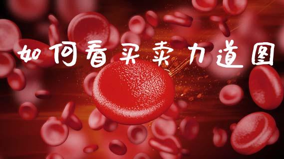 如何看买卖力道图_https://www.apanben.com_国际期货_第1张