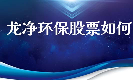 龙净环保股票如何_https://www.apanben.com_股市指导_第1张