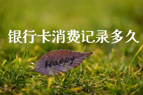 银行卡消费记录多久_https://www.apanben.com_国际财经_第1张
