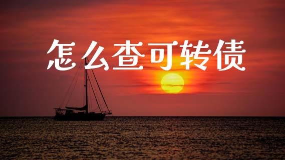 怎么查可转债_https://www.apanben.com_在线喊单_第1张