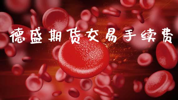 德盛期货交易手续费_https://www.apanben.com_股票怎么玩_第1张