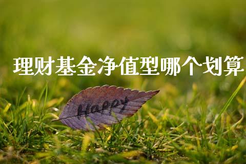 理财基金净值型哪个划算_https://www.apanben.com_财经资讯_第1张