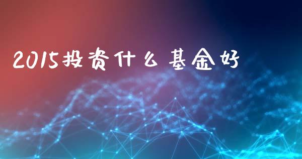 2015投资什么基金好_https://www.apanben.com_国际财经_第1张