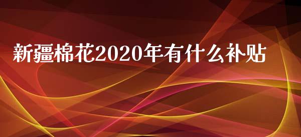 新疆棉花2020年有什么补贴_https://www.apanben.com_国际财经_第1张