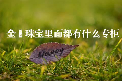 金鑫珠宝里面都有什么专柜_https://www.apanben.com_股市指导_第1张