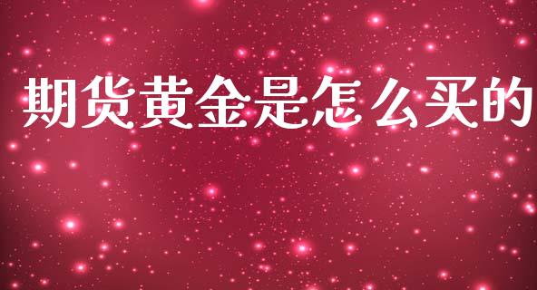 期货黄金是怎么买的_https://www.apanben.com_国际期货_第1张