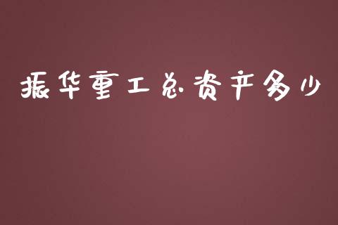 振华重工总资产多少_https://www.apanben.com_期货学院_第1张