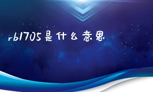 rb1705是什么意思_https://www.apanben.com_国际财经_第1张