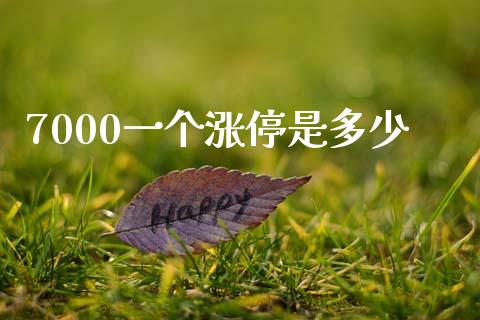 7000一个涨停是多少_https://www.apanben.com_财经资讯_第1张