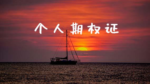 个人期权证_https://www.apanben.com_在线喊单_第1张
