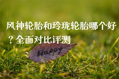 风神轮胎和玲珑轮胎哪个好？全面对比评测_https://www.apanben.com_期货学院_第1张