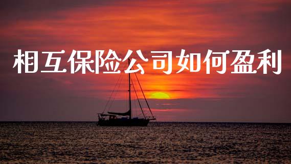 相互保险公司如何盈利_https://www.apanben.com_股市指导_第1张