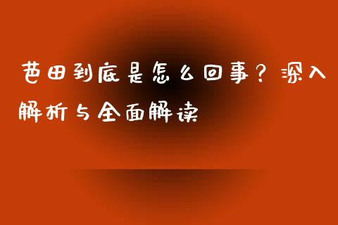 芭田到底是怎么回事？深入解析与全面解读_https://www.apanben.com_国际财经_第1张
