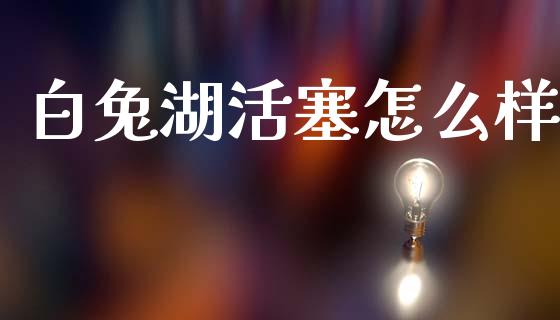 白兔湖活塞怎么样_https://www.apanben.com_国际财经_第1张