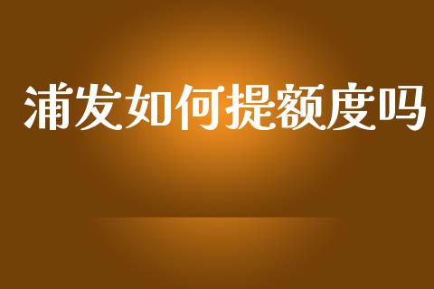 浦发如何提额度吗_https://www.apanben.com_国际财经_第1张