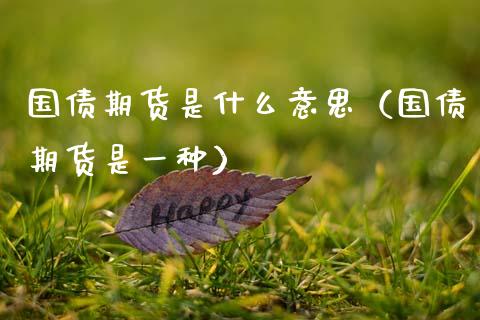 国债期货是什么意思（国债期货是一种）_https://www.apanben.com_期货学院_第1张