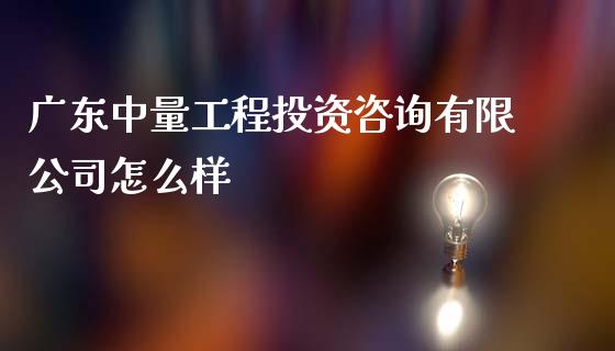 广东中量工程投资咨询有限公司怎么样_https://www.apanben.com_期货学院_第1张