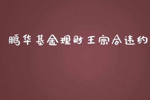 鹏华基金理财王宗合违约_https://www.apanben.com_国际财经_第1张
