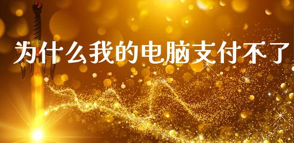 为什么我的电脑支付不了_https://www.apanben.com_国际财经_第1张