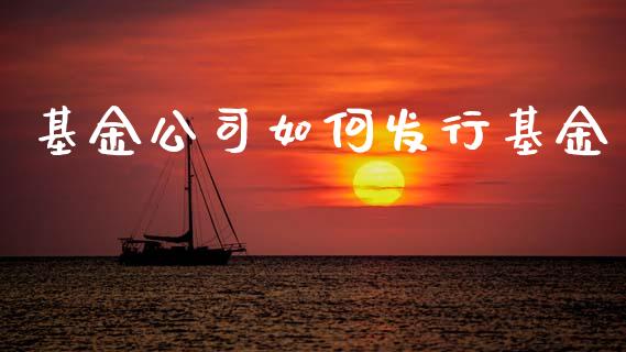 基金公司如何发行基金_https://www.apanben.com_国际期货_第1张
