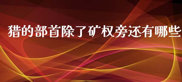 猎的部首除了矿权旁还有哪些_https://www.apanben.com_国际财经_第1张