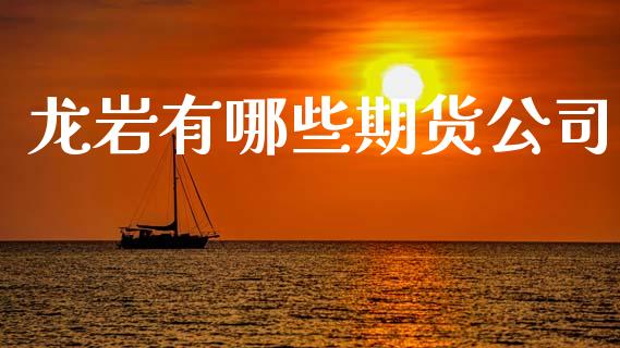龙岩有哪些期货公司_https://www.apanben.com_国际期货_第1张