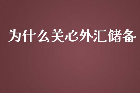 为什么关心外汇储备_https://www.apanben.com_国际财经_第1张
