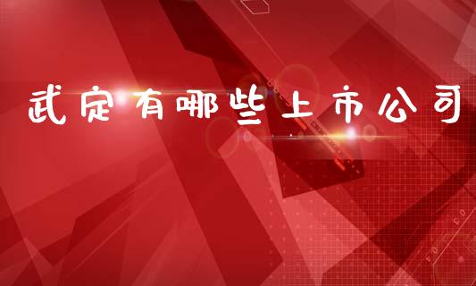 武定有哪些上市公司_https://www.apanben.com_国际财经_第1张
