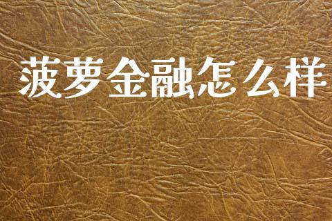 菠萝金融怎么样_https://www.apanben.com_国际期货_第1张