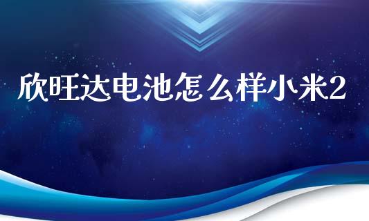 欣旺达电池怎么样小米2_https://www.apanben.com_国际财经_第1张