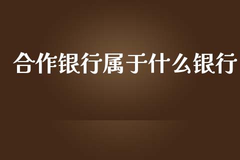 合作银行属于什么银行_https://www.apanben.com_期货学院_第1张