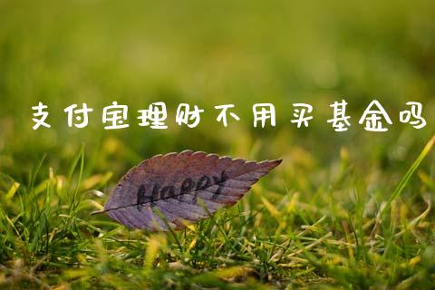 支付宝理财不用买基金吗_https://www.apanben.com_国际财经_第1张