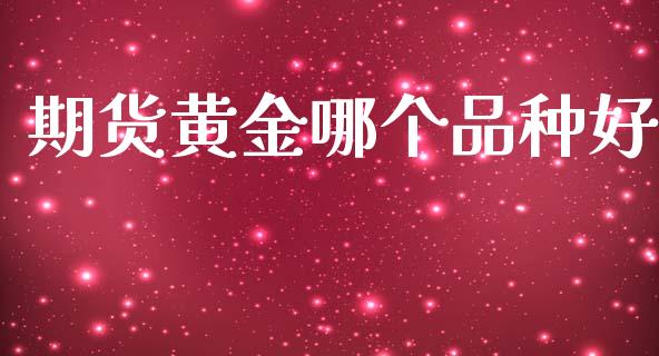 期货黄金哪个品种好_https://www.apanben.com_国际期货_第1张